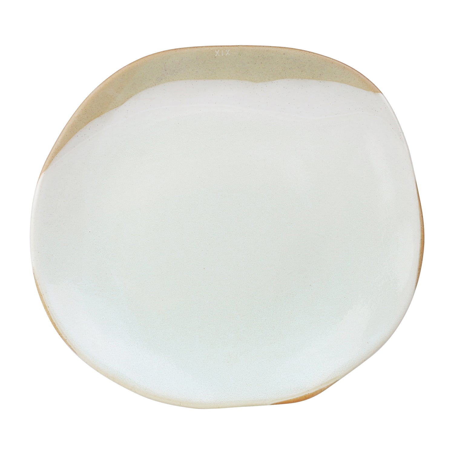 Forager Dinner Plate - Lagoon: Set of 4
