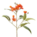 Eucalyptus Flowering Spray Orange 17x8x76cm