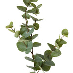 Eucalyptus Dollar Spray Grey Green 21x8x94cm