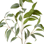 Eucalyptus Spray Grey Green 50x40x94cm