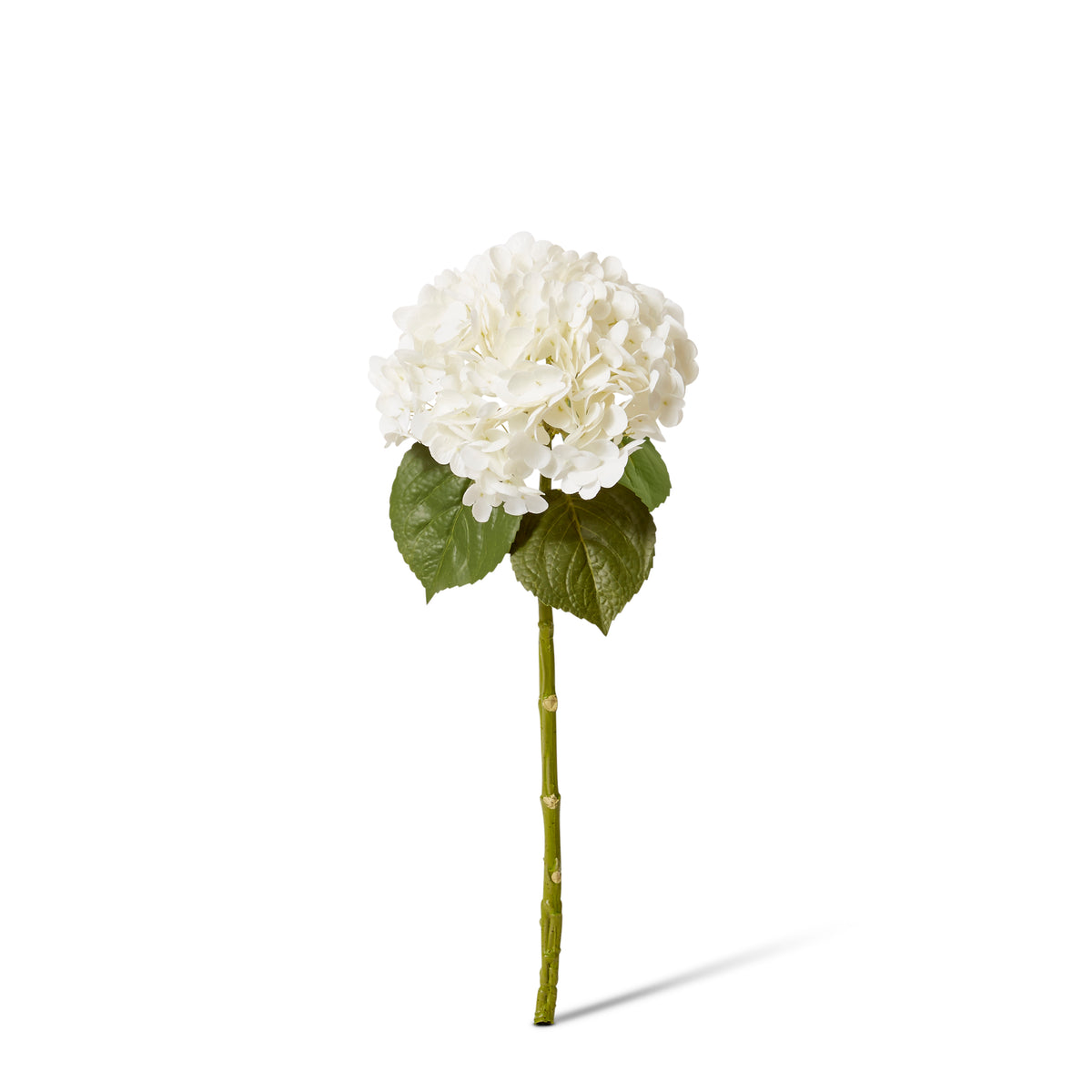 Hydrangea Classic Stem (RT) White 30x20x52cm
