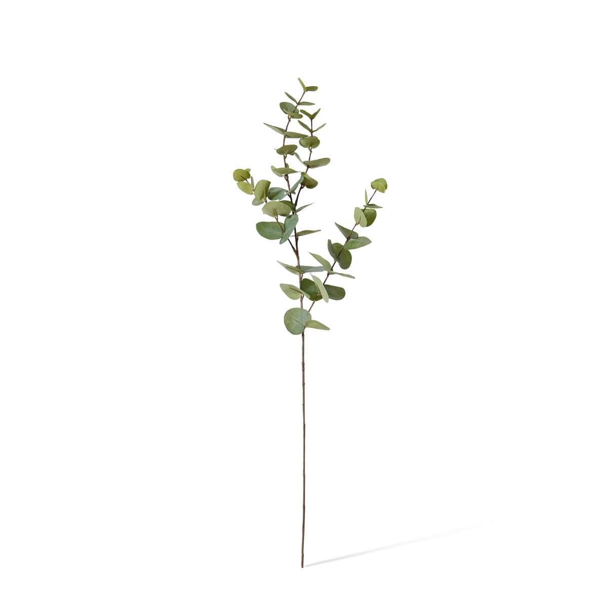 Eucalyptus Dollar Spray Grey Green 21x8x94cm