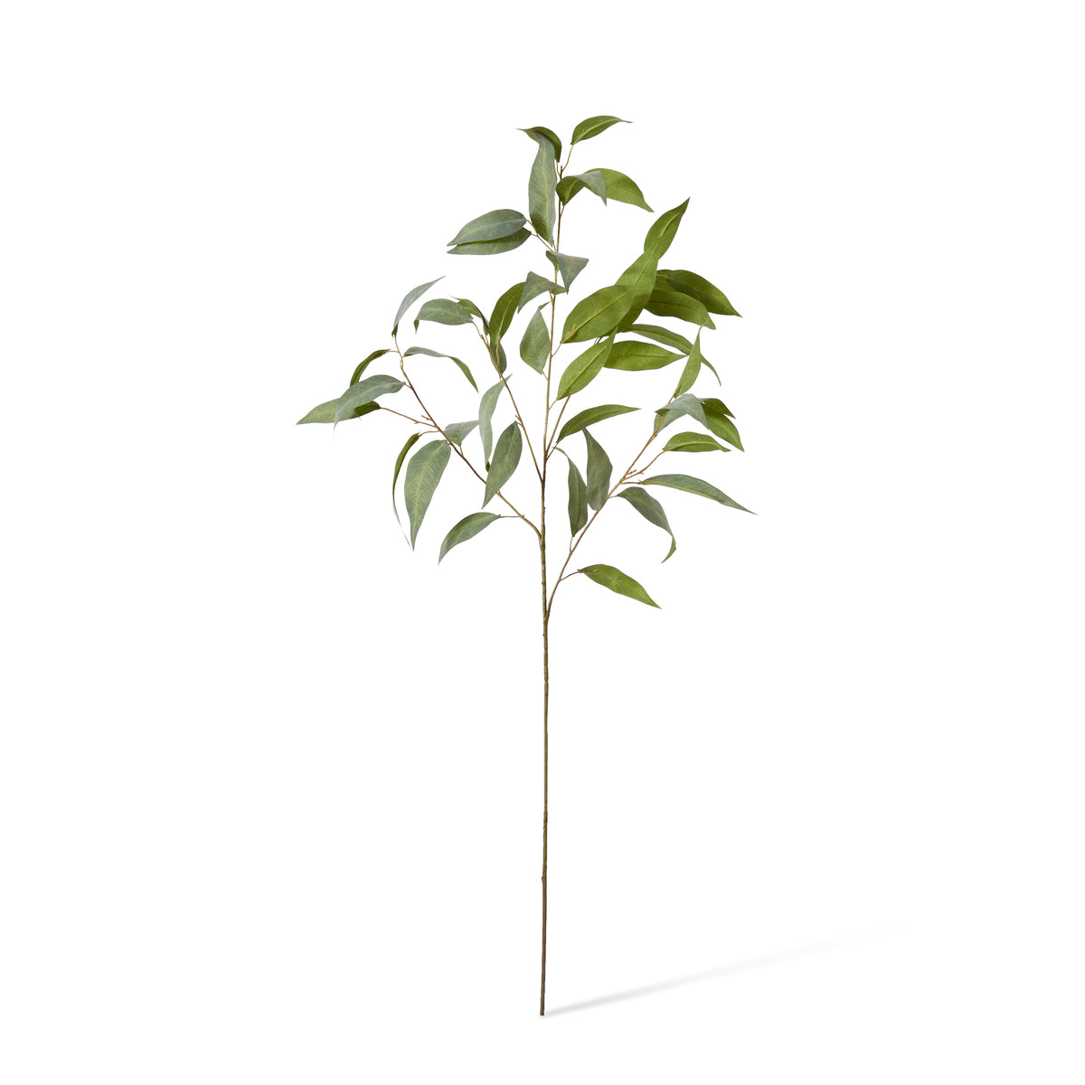 Eucalyptus Spray Grey Green 50x40x94cm