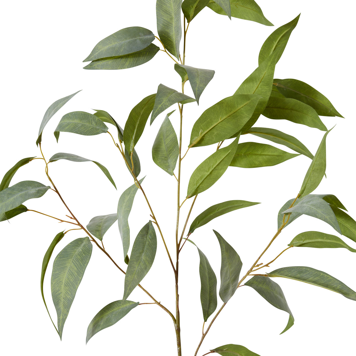 Eucalyptus Spray Grey Green 50x40x94cm