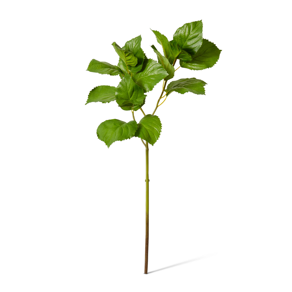 Hydrangea Leaf Spray Green 30x30x84cm