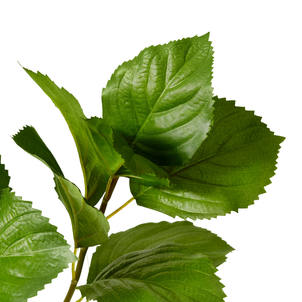 Hydrangea Leaf Spray Green 30x30x84cm